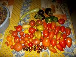 Photode  bagé 060.jpg