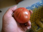 Photode  bagé 064.jpg