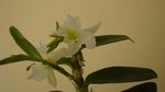 DSC01918.JPG