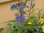 img_3789.jpg