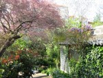 jardin 2_New1.jpg