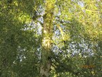 2011-09-12  réveil x.jpg