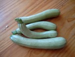 courgettess20082.JPG