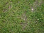 SDC13041.JPG