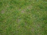 SDC13040.JPG