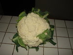 DSC02129.JPG