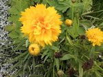 Photo-0021.jpg