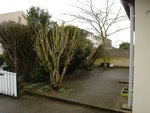 terrasse1.jpg