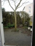 terrasse2.jpg