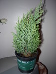 P1010220.JPG