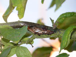 2011-09-14_19-00-23 Copie.jpg
