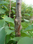 2011-09-14_18-58-21 Copie.jpg