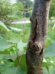 2011-09-14_18-58-57 Copie.jpg