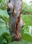 2011-09-14_18-59-04 Copie.jpg