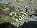 DSC01903.JPG