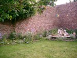 le fond du jardin debut juin