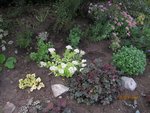 2011-09-16  masdtex.jpg
