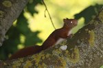 023 - Copie.JPG