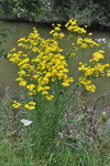 DSC_2882r.jpg