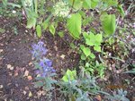 2011-09-19 3x.jpg