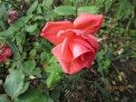 2011-09-19x.jpg