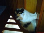 DSC00010.JPG