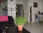 S7300877.JPG