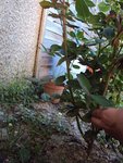 DSC00627.JPG