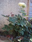 DSC00625.JPG