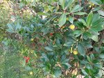 DSC01738.JPG
