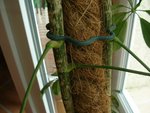 DSCN4706.JPG