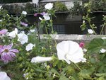 Photo-0021a.jpg