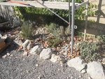 SDC12506.JPG