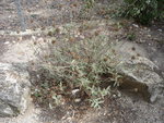 P1010231.JPG