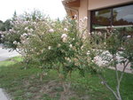 P1010228.JPG
