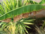 2011-09-26 002.jpg