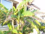 2011-09-26 001.jpg