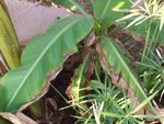 2011-09-26 003.jpg