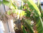 2011-09-26 004.jpg