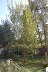 DSC_2645.JPG