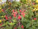 Photo-0021.jpg