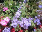 Photo-0022.jpg