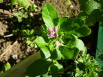 DSCN4376.JPG