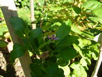 DSCN4377.JPG