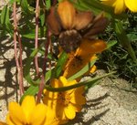 2011-09-27 17.04.13-2.jpg
