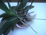 PICT2279.JPG