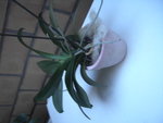 PICT2277.JPG