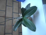PICT2276.JPG
