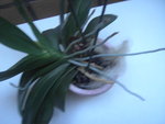PICT2278.JPG