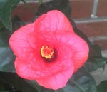 2011-10-04_10-31-30_554.jpg